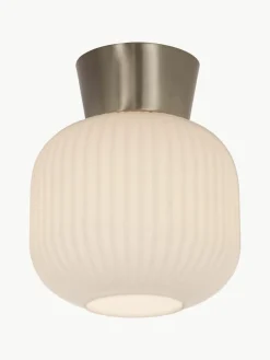 Kleine plafondlamp Vanja
