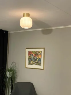 Kleine plafondlamp Vanja