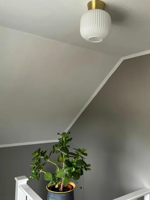 Kleine plafondlamp Vanja