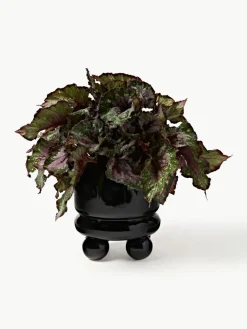 Kleine plantenpot Bryn, H 18 cm