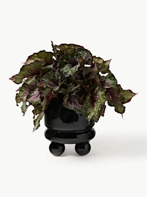 Kleine plantenpot Bryn, H 18 cm