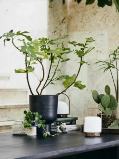 Kleine plantenpot Galoa,H 30 cm