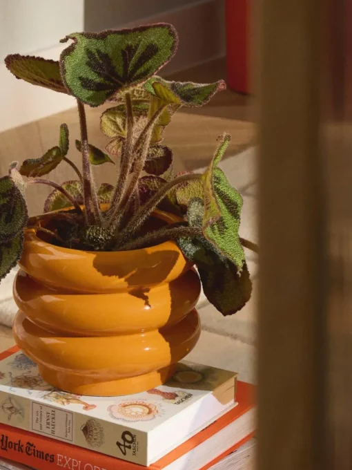 Kleine plantenpot Rudi van keramiek, H 16 cm