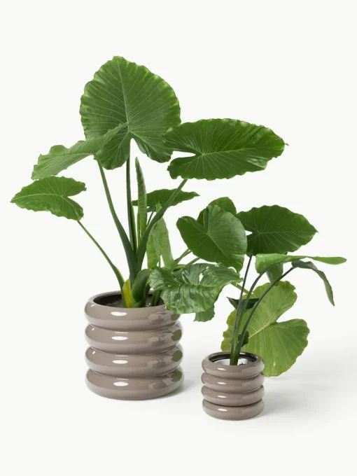 Kleine plantenpot Rudi van keramiek, H 16 cm