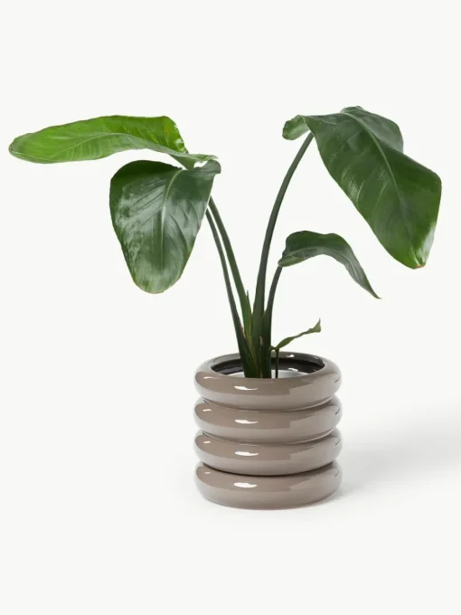 Kleine plantenpot Rudi van keramiek, H 16 cm