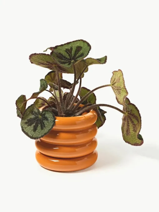 Kleine plantenpot Rudi van keramiek, H 16 cm