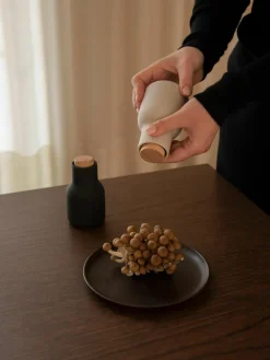 Kleine zout- en pepermolen Bottle Grinder met beukenhouten deksel, set van 2
