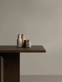 Kleine zout- en pepermolen Bottle Grinder met walnoothouten deksel, 2-delig