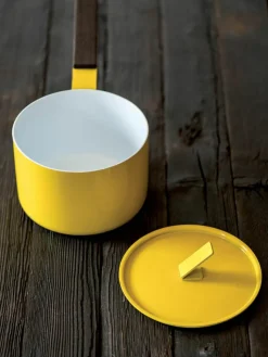 Kookpan Sun met antiaanbaklaag