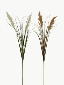 Kunstbloemen Pampasgras, 2-delig