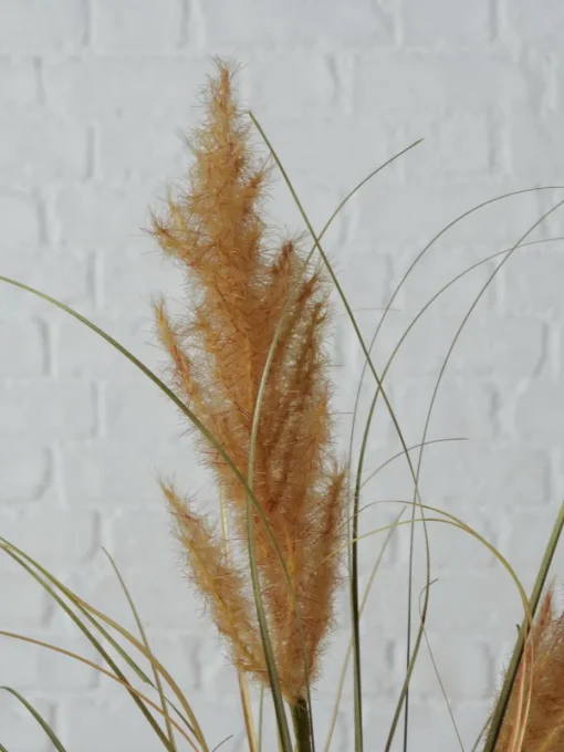 Kunstbloemen Pampasgras, 2-delig