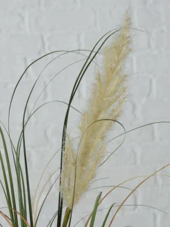 Kunstbloemen Pampasgras, 2-delig