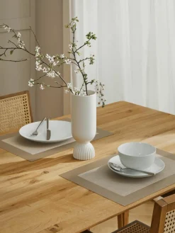 Kunststoffen placemats Trefl, 2 stuks