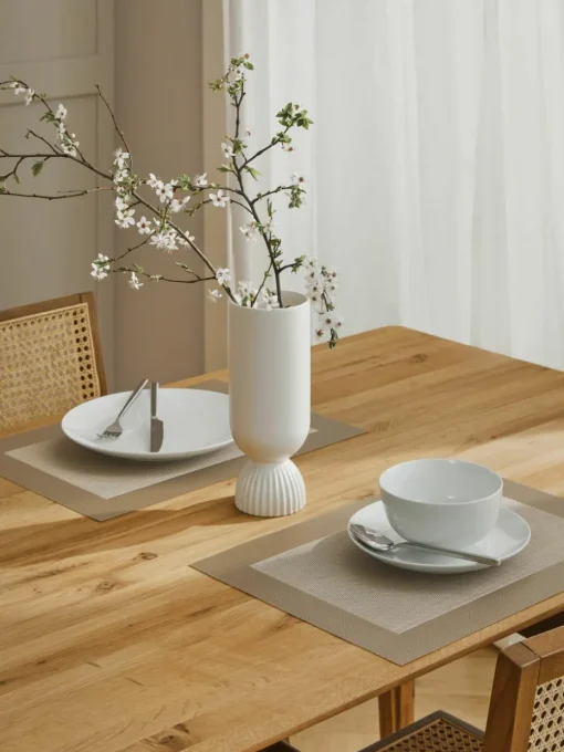 Kunststoffen placemats Trefl, 2 stuks