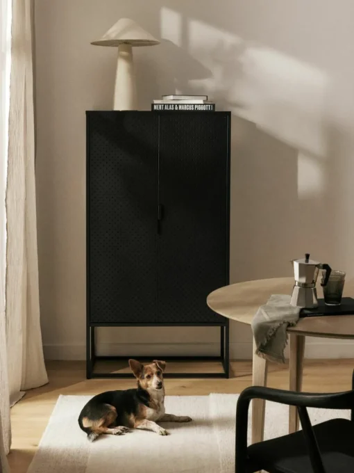 Metalen dressoir Neptunus