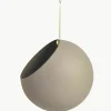 Metalen plantenpot Globe om op te hangen