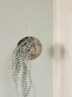 Metalen plantenpot Globe om op te hangen