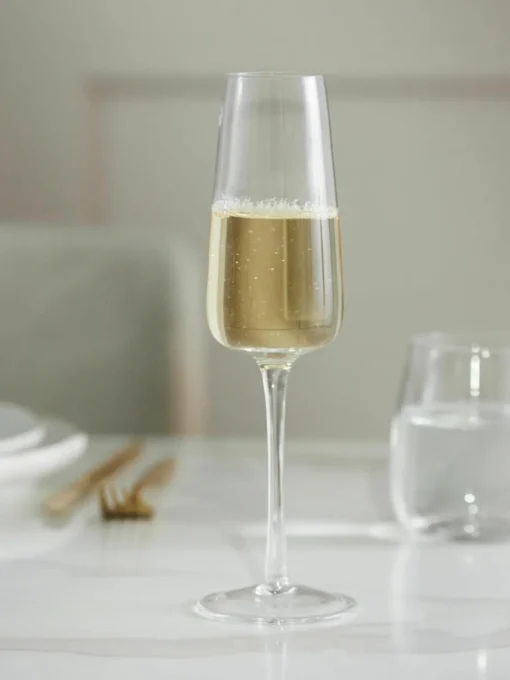 Mondgeblazen champagneglazen Ellery, 4 stuks