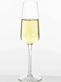 Mondgeblazen champagneglazen Ellery, 4 stuks