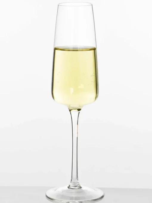Mondgeblazen champagneglazen Ellery, 4 stuks