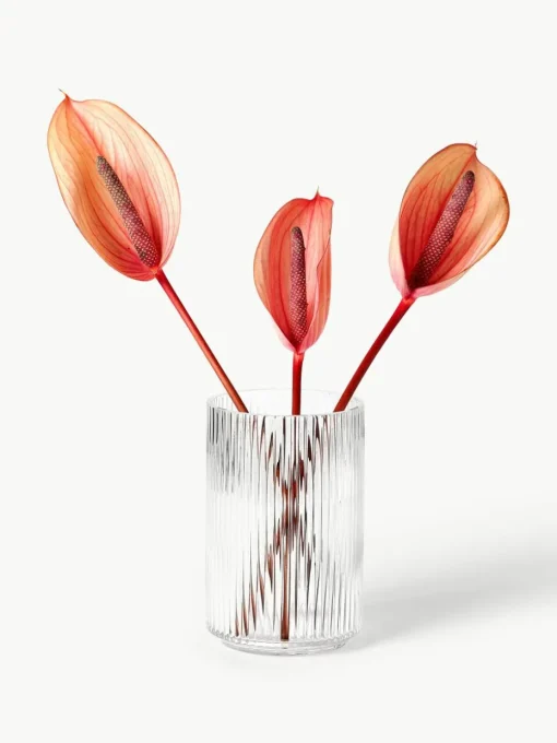 Mondgeblazen decoratieve vaas Carlo met groefreliëf, H 20 cm