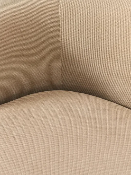 Niervormige loungefauteuil Alba