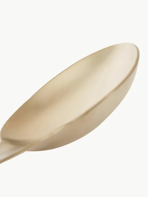 Opscheplepel Goldies