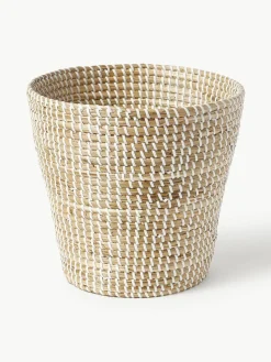 Papiermand Aleya van zeegras