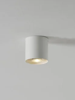 Plafondspot Roda