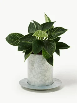 Plantenpot Auran, H 21 cm