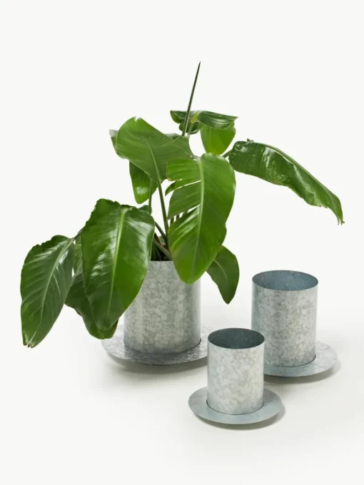 Plantenpot Auran, H 39 cm