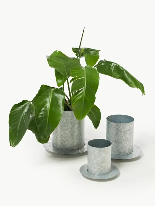 Plantenpot Auran, H 21 cm