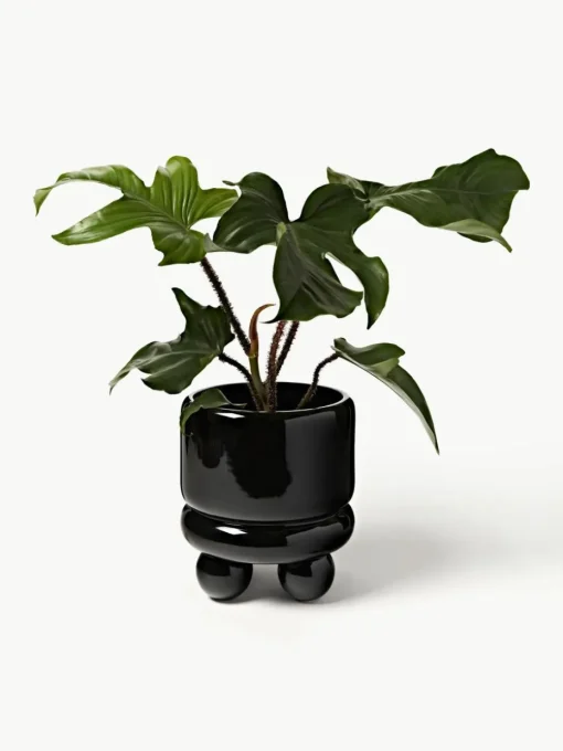 Plantenpot Bryn, H 25 cm