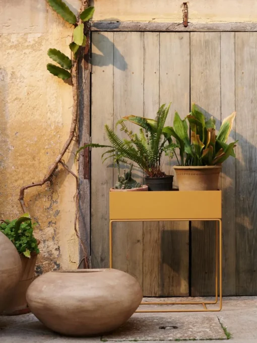 Plantenpot Dodu van cement