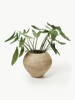 Plantenpot Dodu van cement