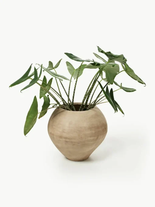 Plantenpot Dodu van cement
