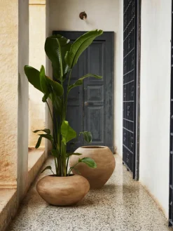 Plantenpot Dodu van cement