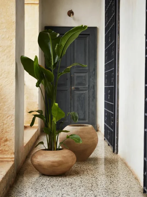 Plantenpot Dodu van cement