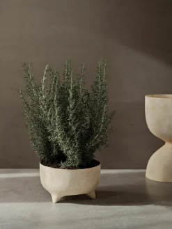 Plantenpot Evoke, H 26 cm