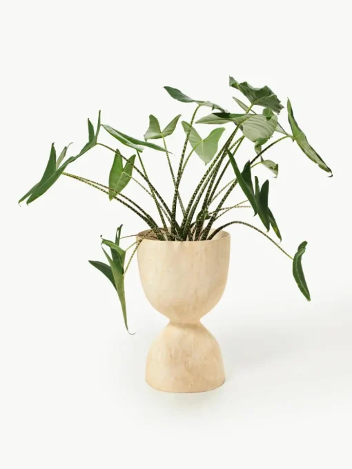 Plantenpot Evoke, H 70 cm