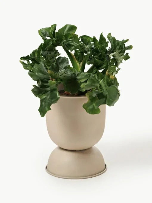 Plantenpot Hourglass, H 30 cm