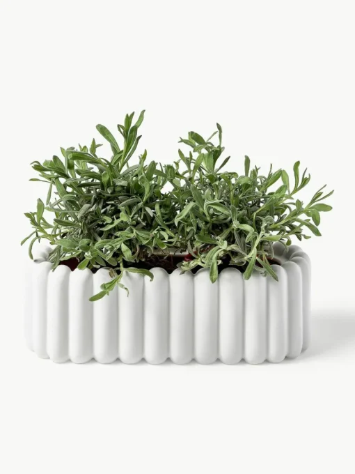 Plantenpot Mist, B 35 cm