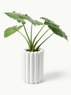 Plantenpot Mist, H 27 cm