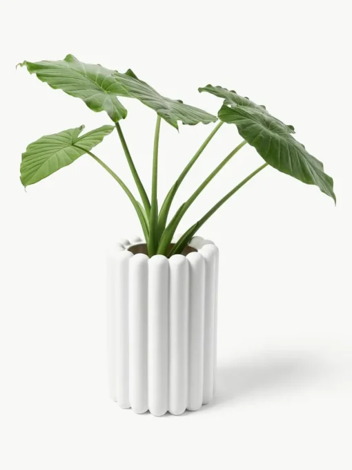 Plantenpot Mist, H 27 cm
