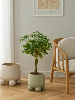 Plantenpot Olea, H 26 cm