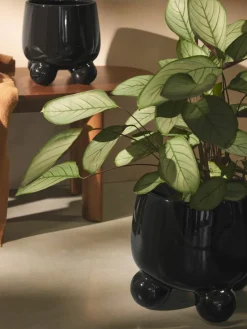 Plantenpot Olea, H 26 cm