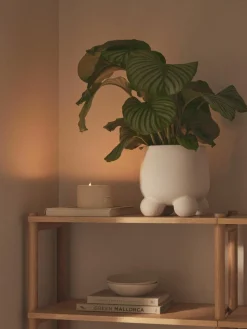 Plantenpot Olea, H 26 cm