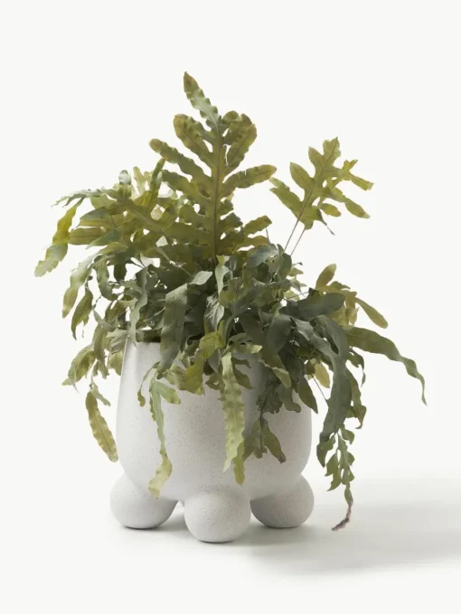 Plantenpot Olea, H 26 cm