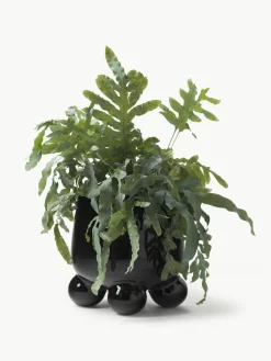 Plantenpot Olea, H 26 cm