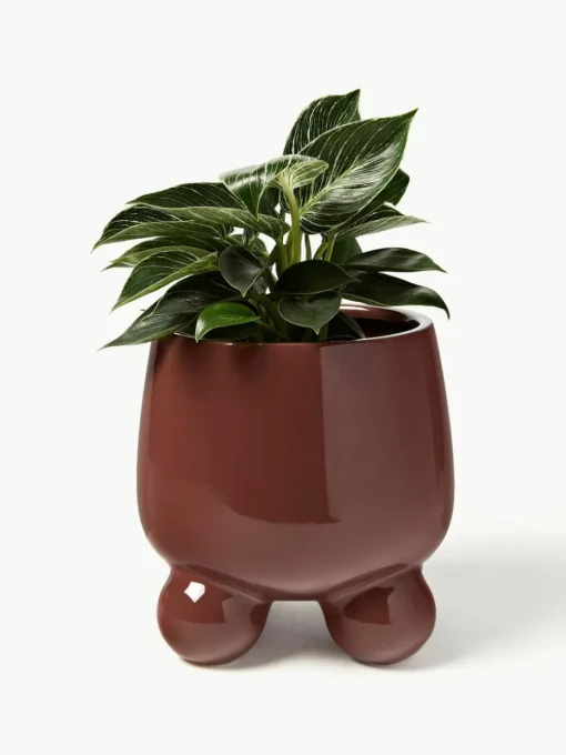 Plantenpot Olea, H 26 cm